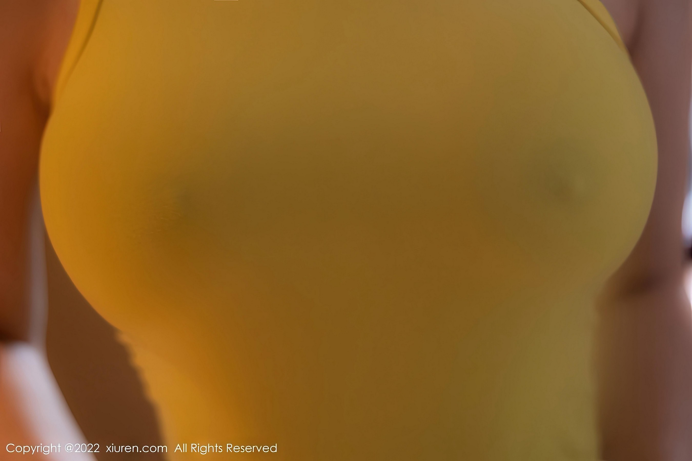 [XiuRen秀人网]2022.11.11 NO.5843 顾乔楠Cora 黄色紧身小背心与灰色短裙加黑丝美腿性感私房写真集Xiuren秀人写真高清美女套图写真下载-看套图看套图